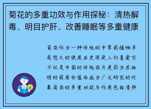 菊花的多重功效与作用探秘：清热解毒、明目护肝、改善睡眠等多重健康益处